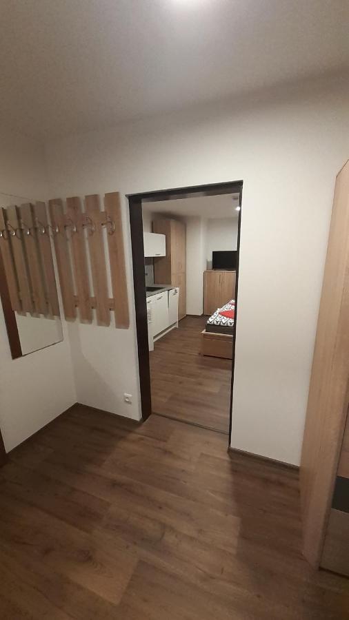 Apartmany Radost Kovářská Buitenkant foto