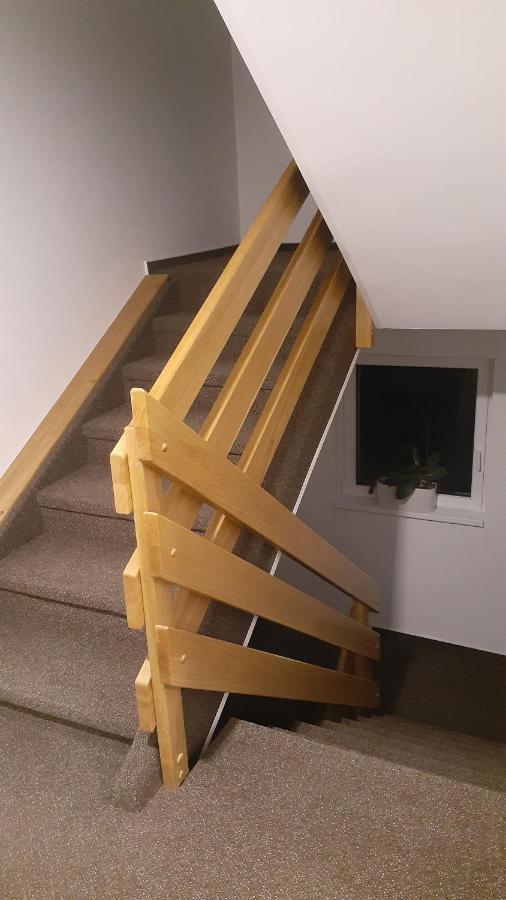 Apartmany Radost Kovářská Buitenkant foto