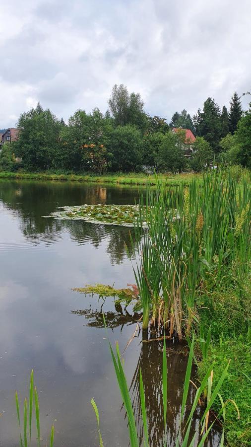 Apartmany Radost Kovářská Buitenkant foto