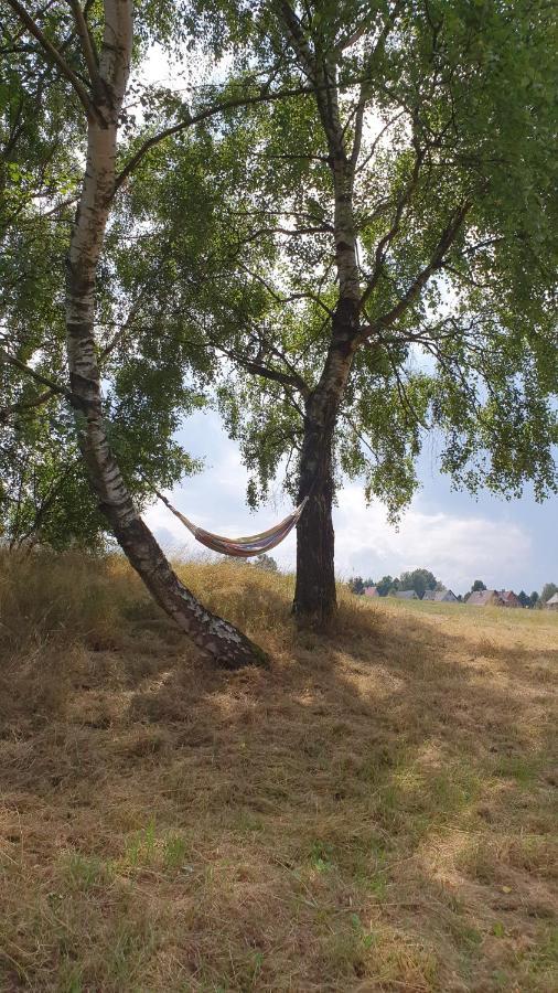 Apartmany Radost Kovářská Buitenkant foto