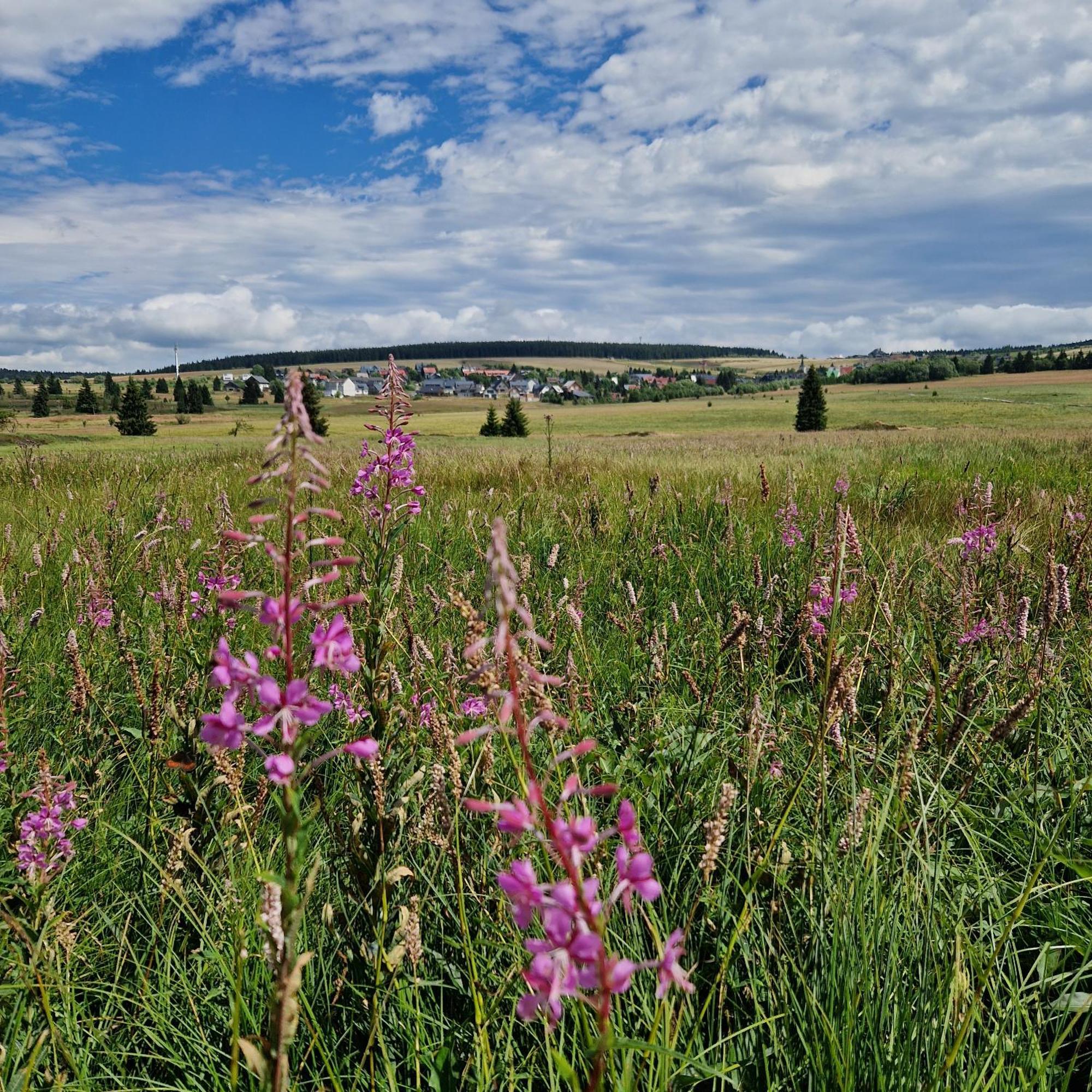Apartmany Radost Kovářská Buitenkant foto